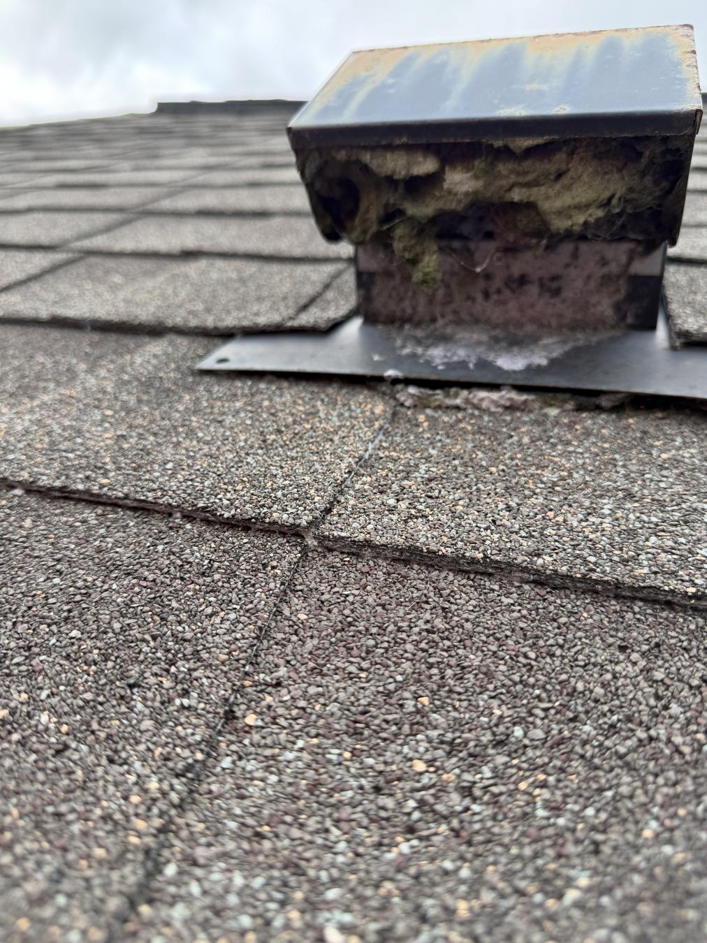 Mt. Pleasant dryer vent cleaning