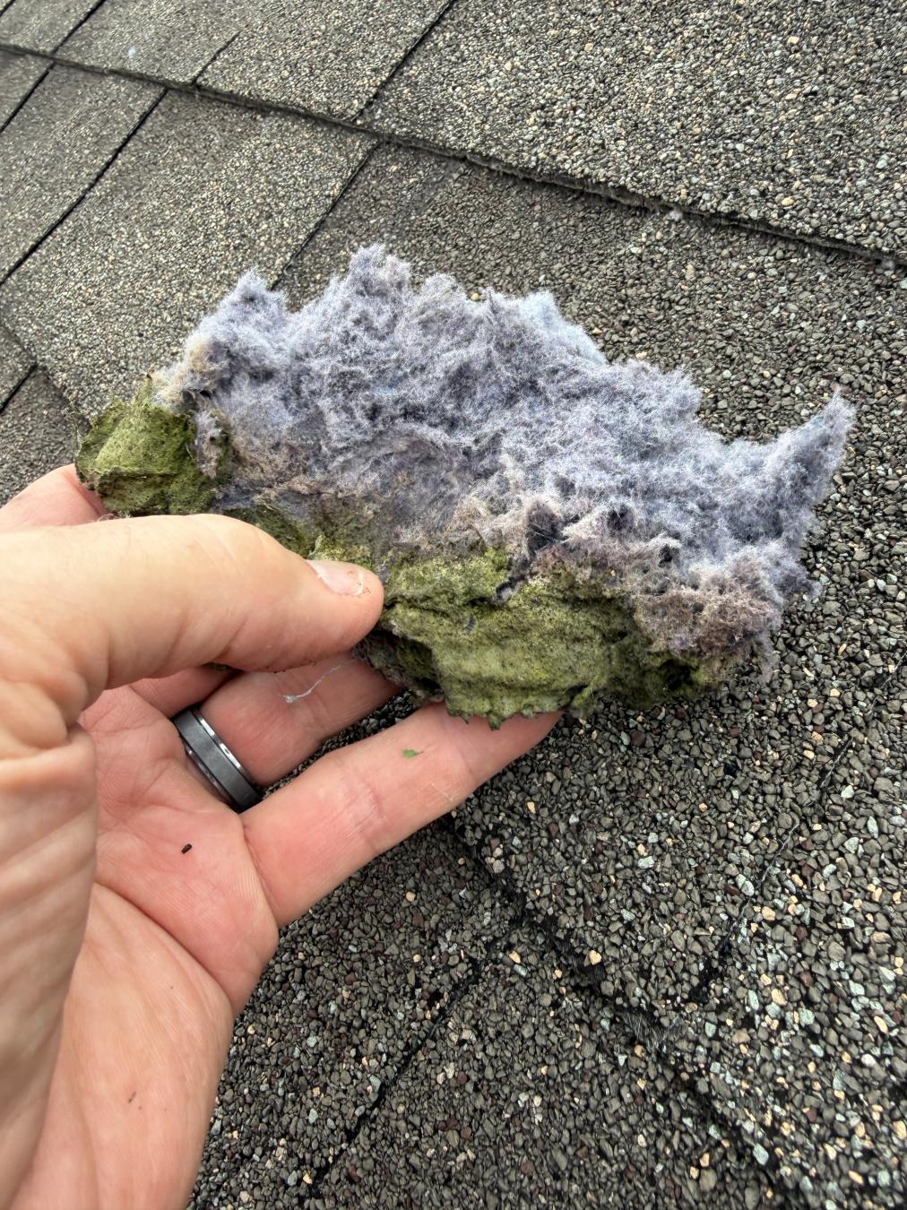Mt. Pleasant dryer vent cleaning