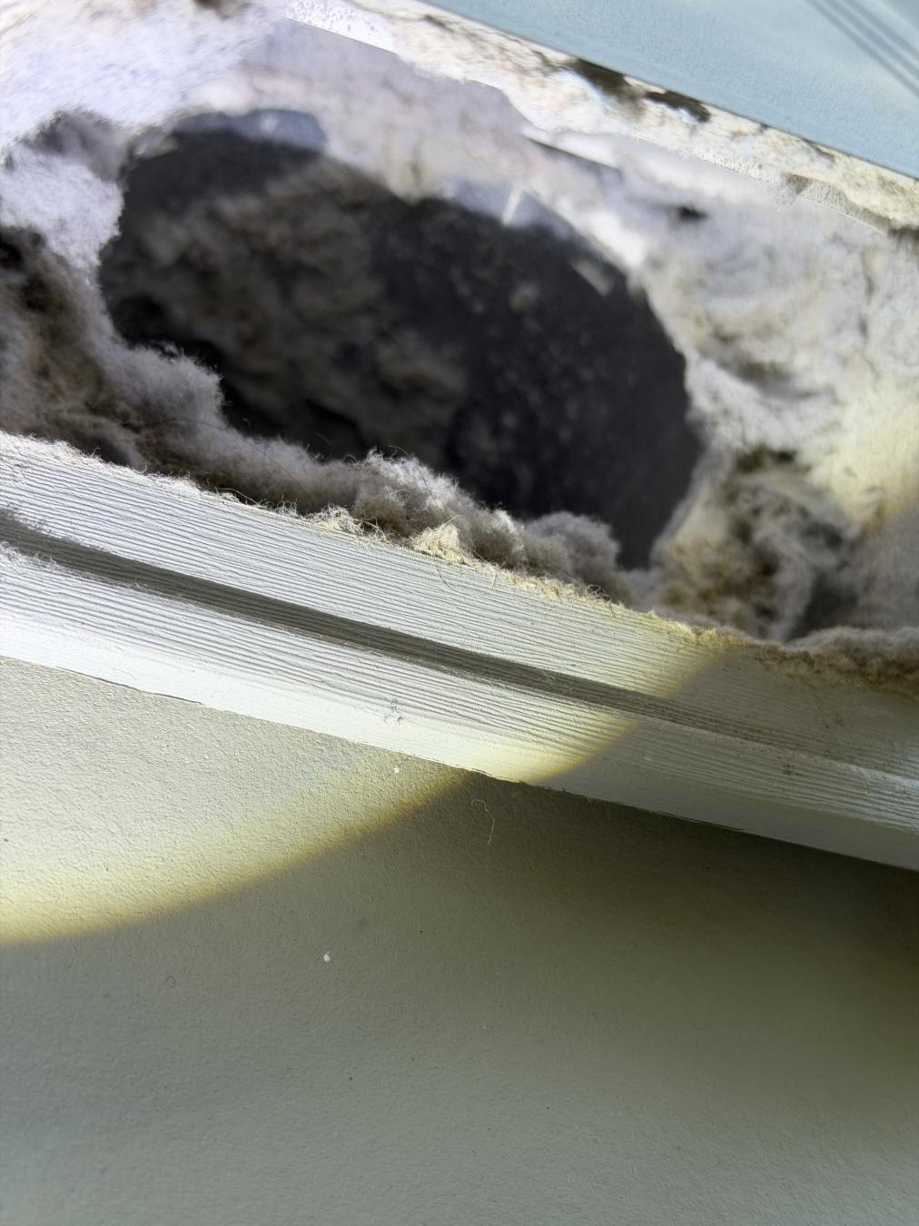 Mt. Pleasant dryer vent cleaning