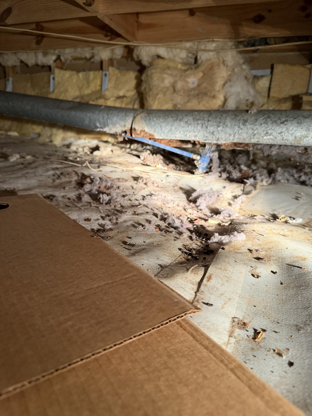 Mt. Pleasant dryer vent cleaning