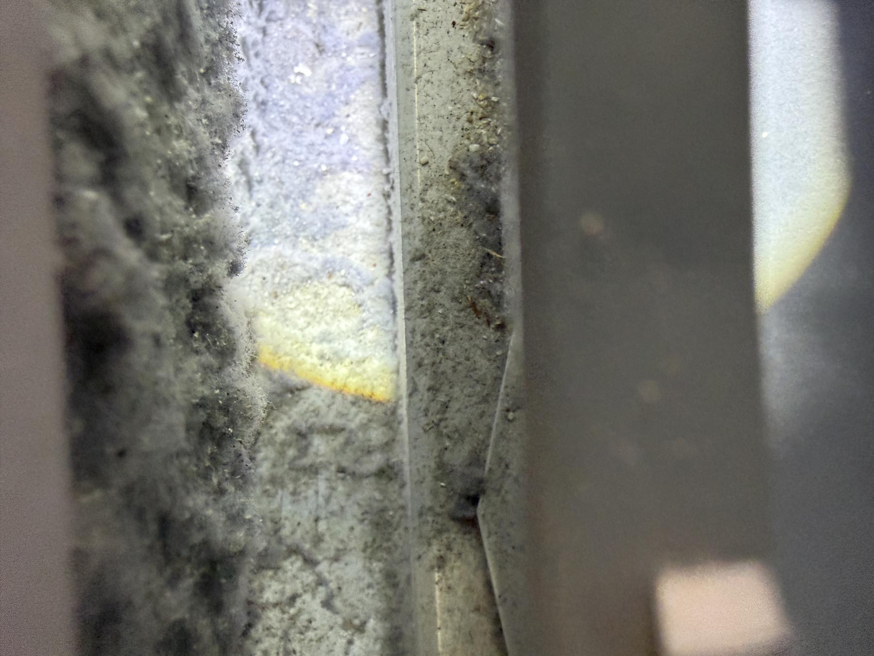 West Ashley dryer vent cleaning