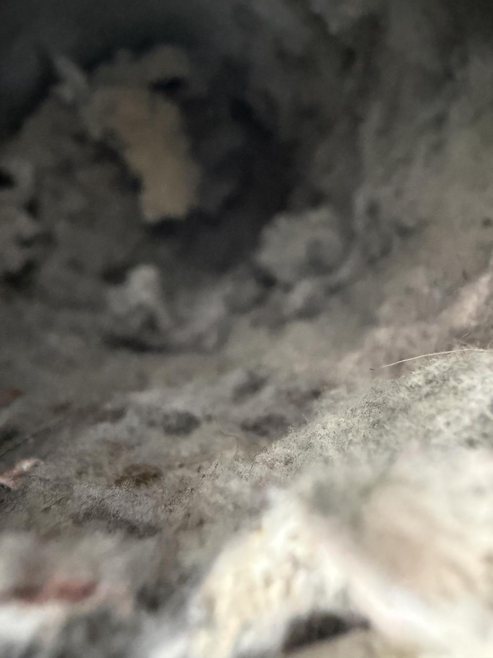 Mt. Pleasant dryer vent cleaning