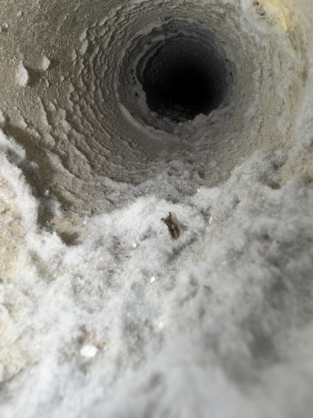 Mt. Pleasant dryer vent cleaning