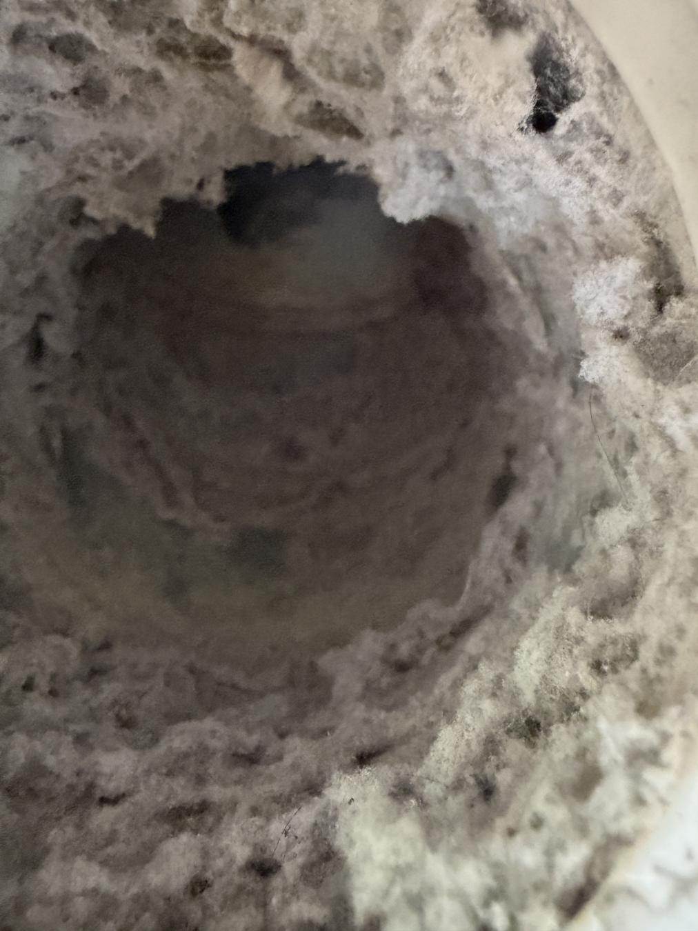 Daniel Island dryer vent cleaning
