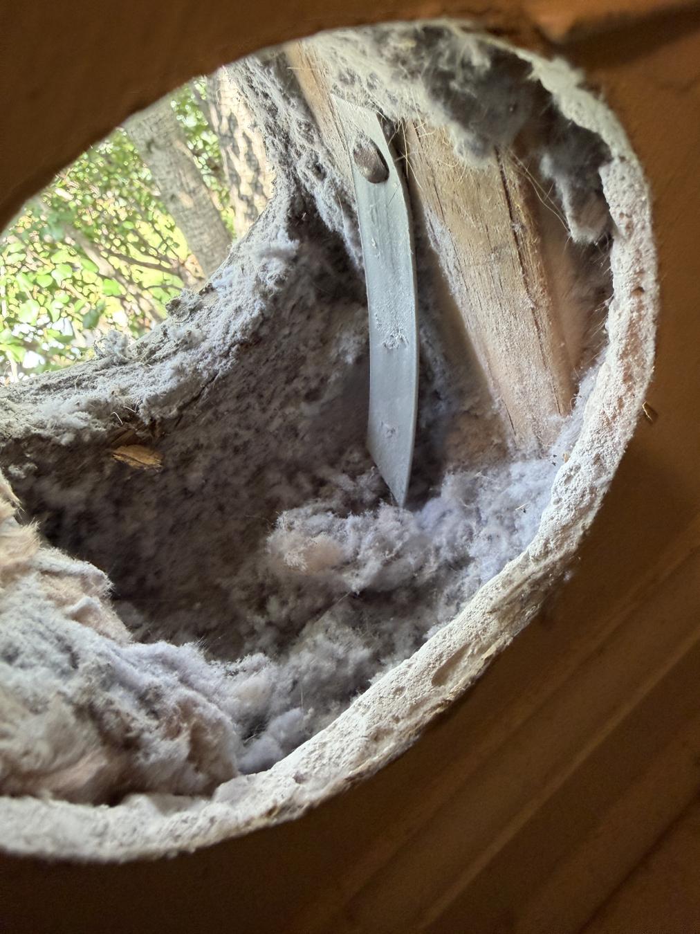 Mt. Pleasant dryer vent cleaning