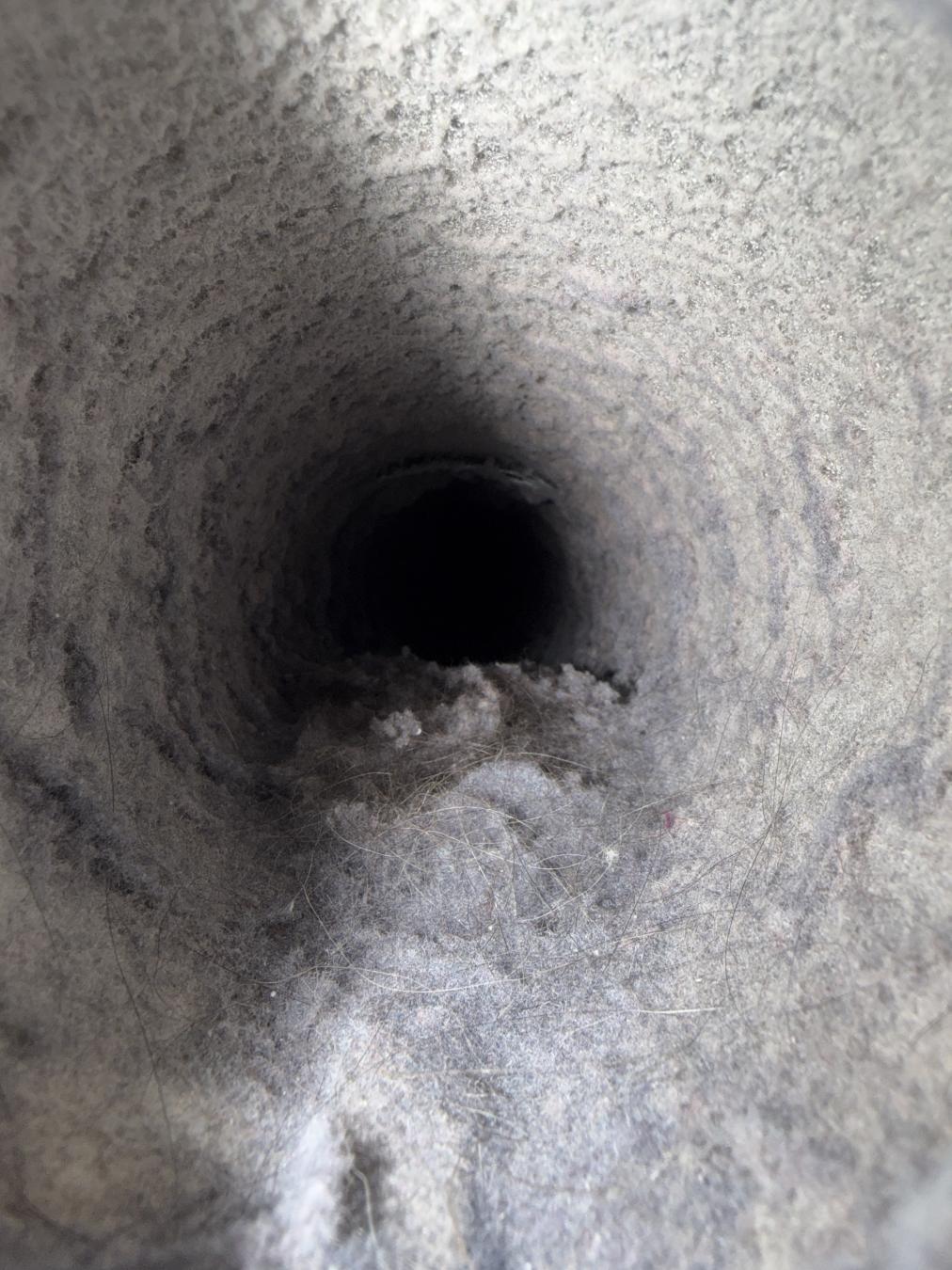 Daniel Island dryer vent cleaning