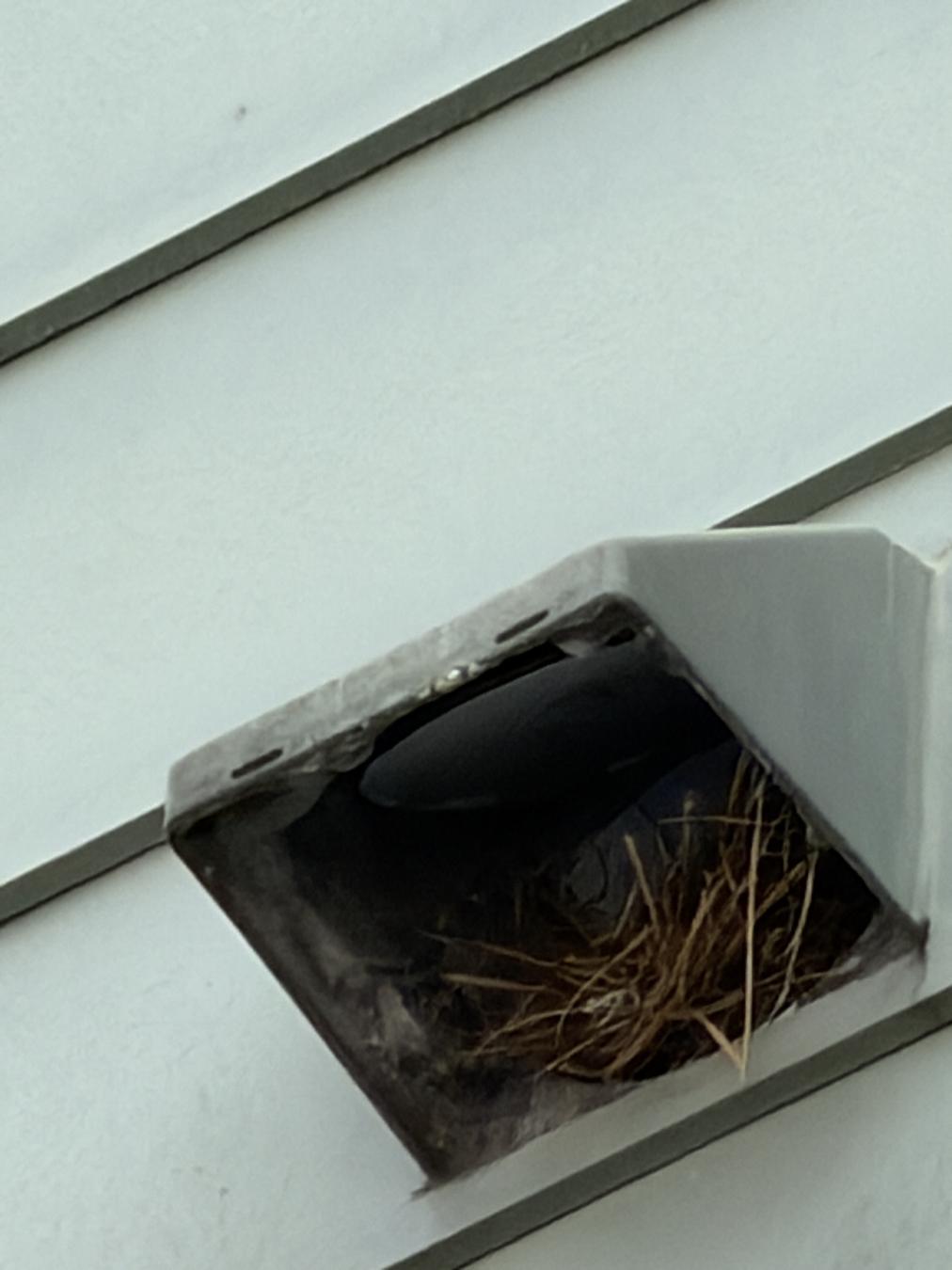 Mt. Pleasant dryer vent cleaning