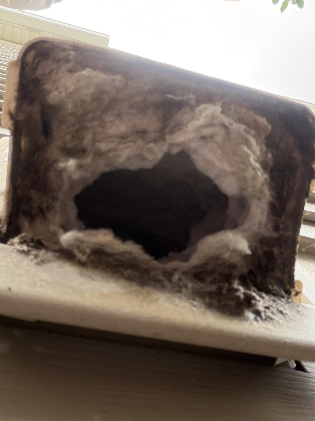 Mt. Pleasant dryer vent cleaning