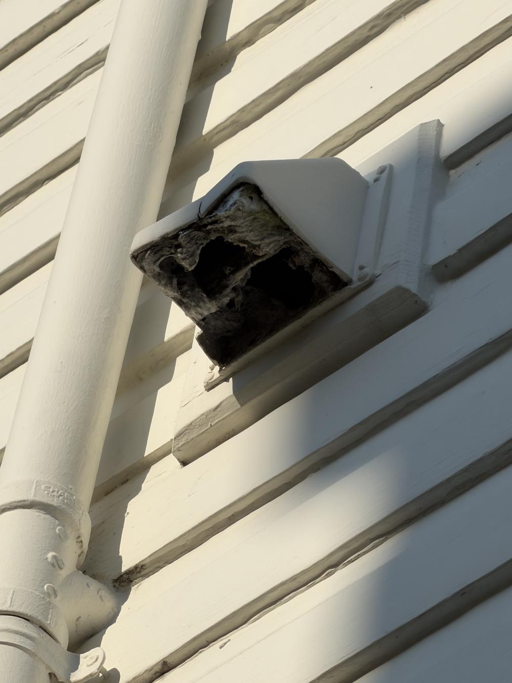Charleston dryer vent cleaning