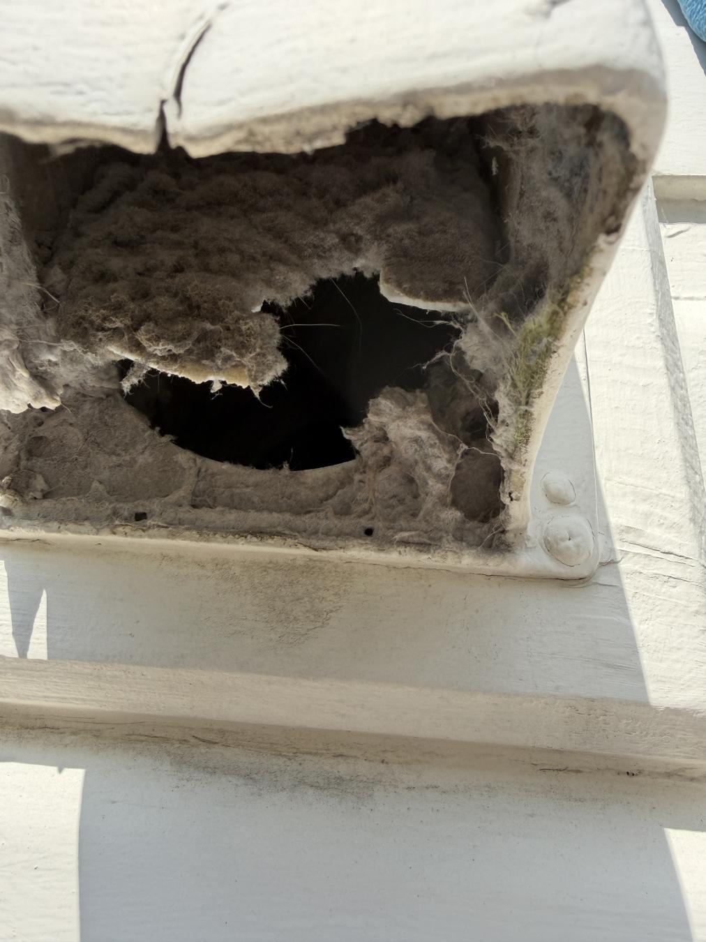 Charleston dryer vent cleaning