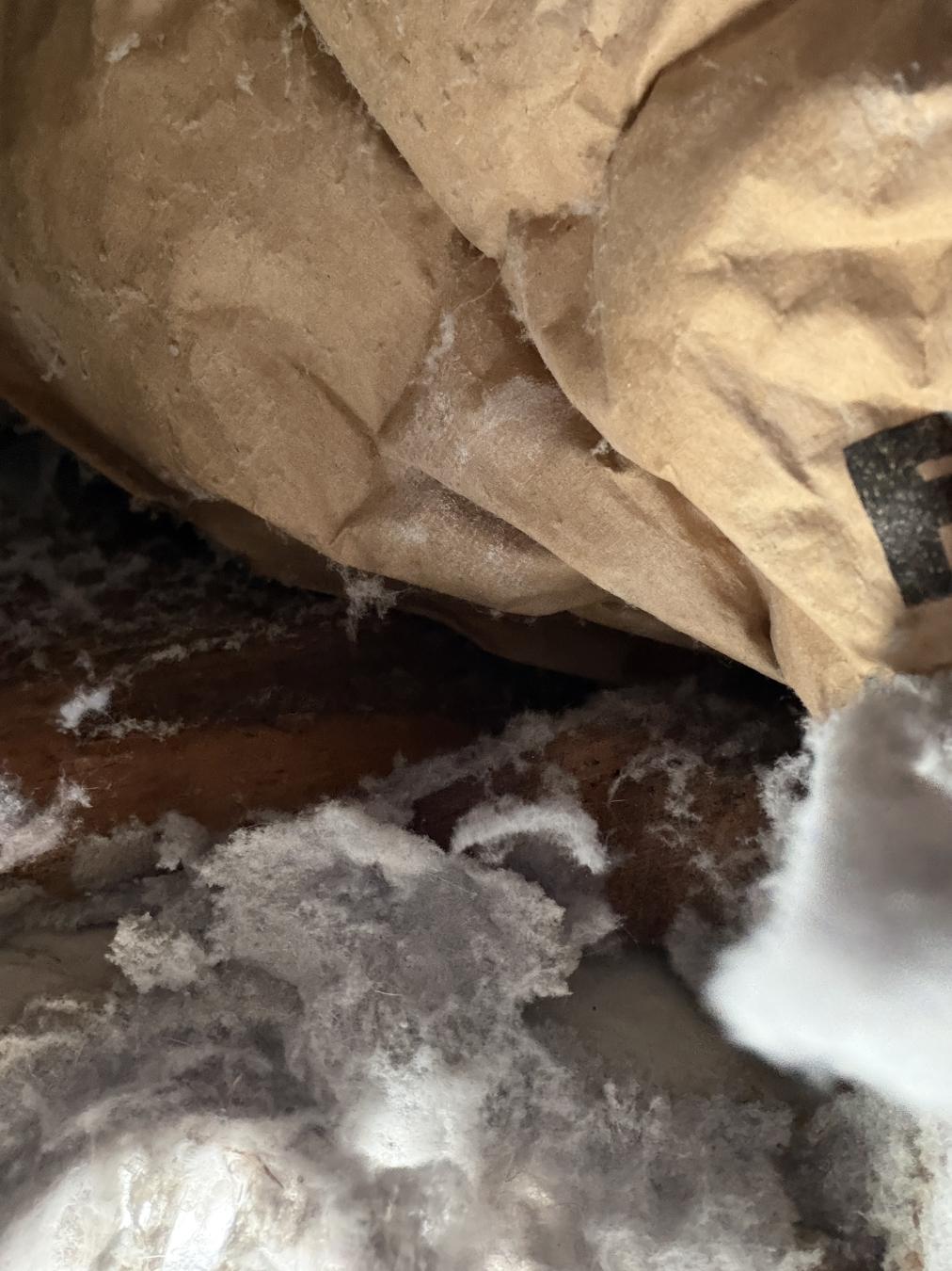 Charleston dryer vent cleaning