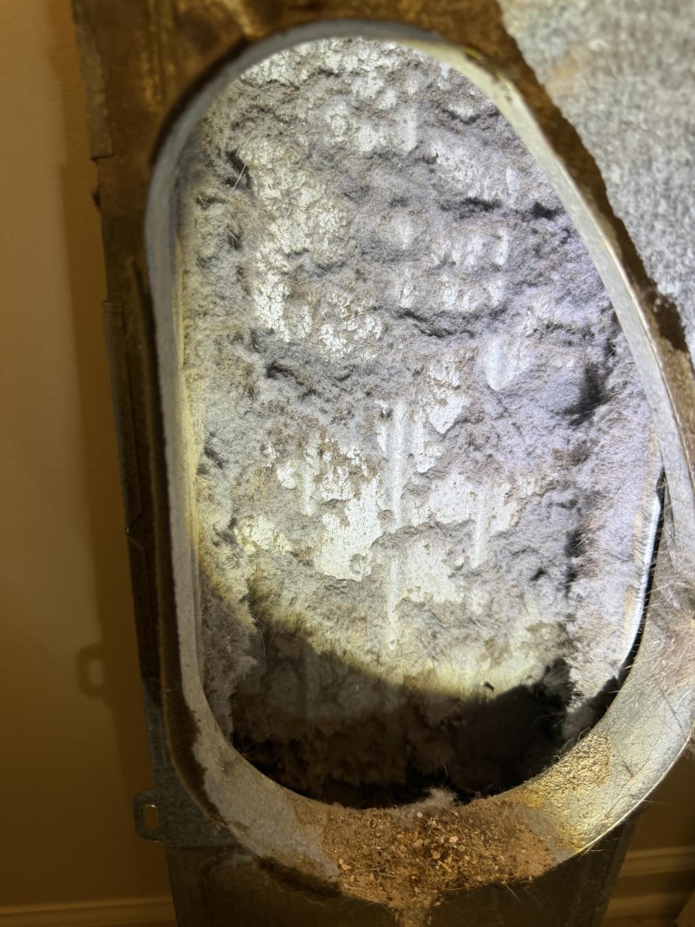Summerville dryer vent cleaning