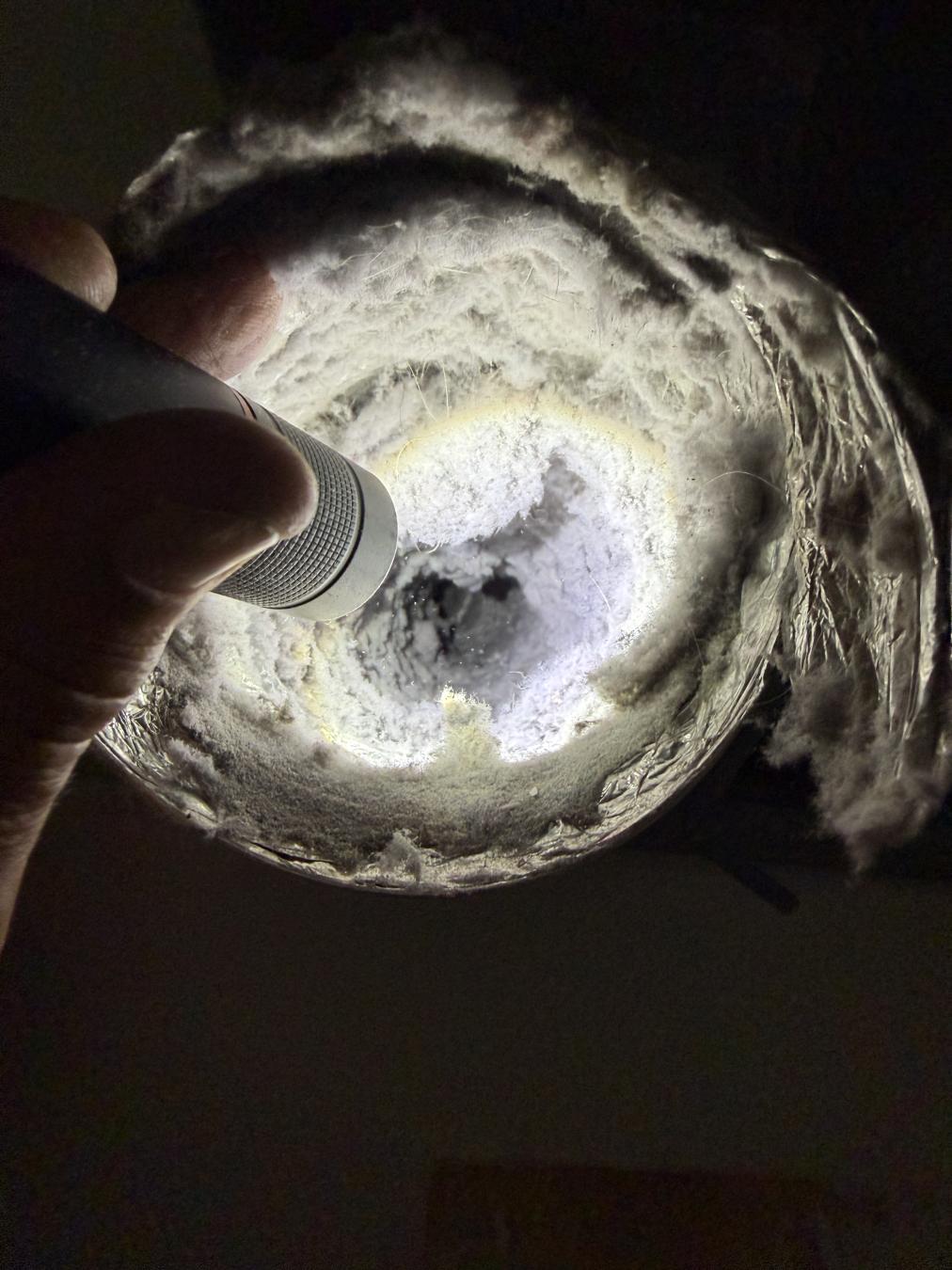 Charleston dryer vent cleaning