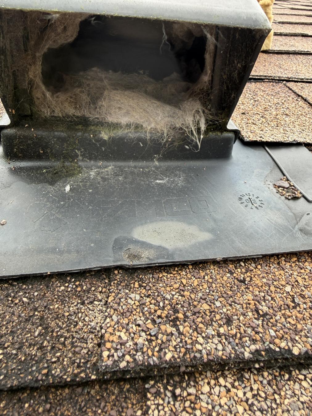 Mt. Pleasant dryer vent cleaning