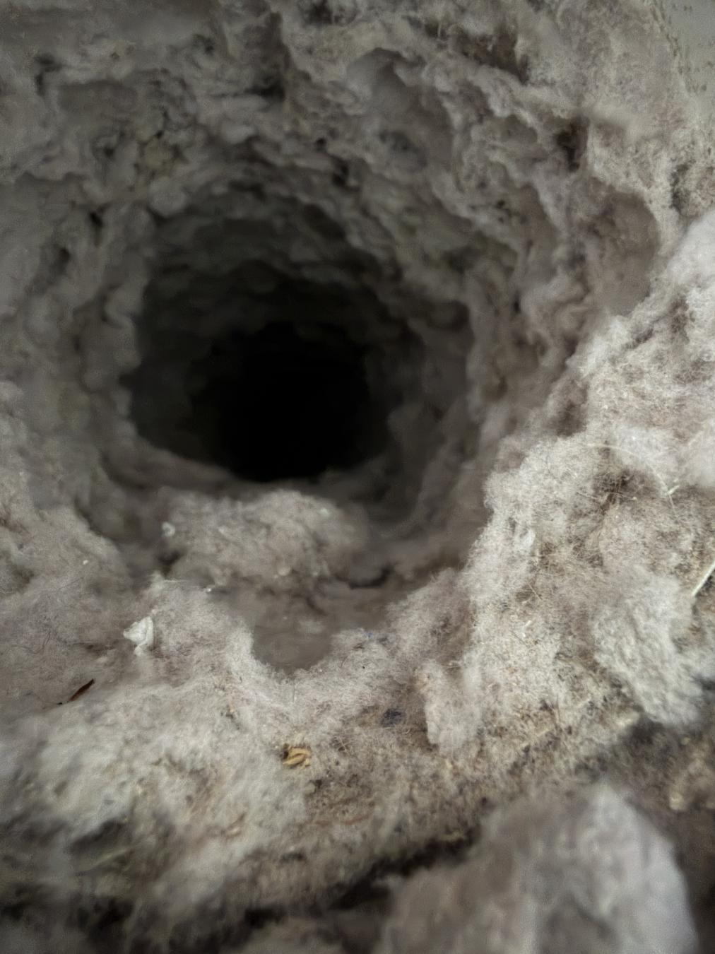 Daniel Island dryer vent cleaning