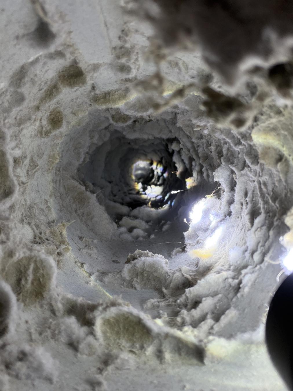 James Island dryer vent cleaning