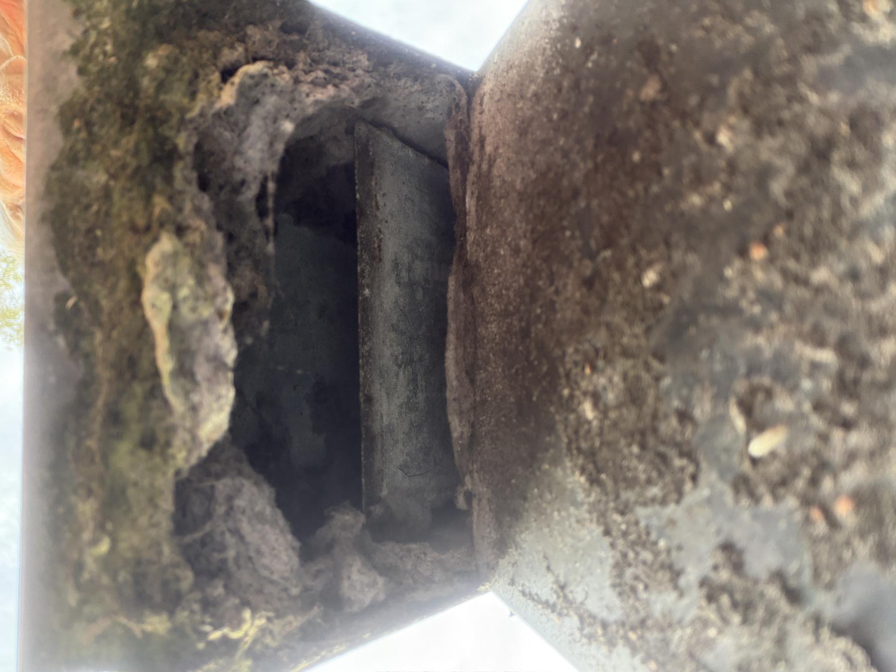 North Charleston dryer vent cleaning